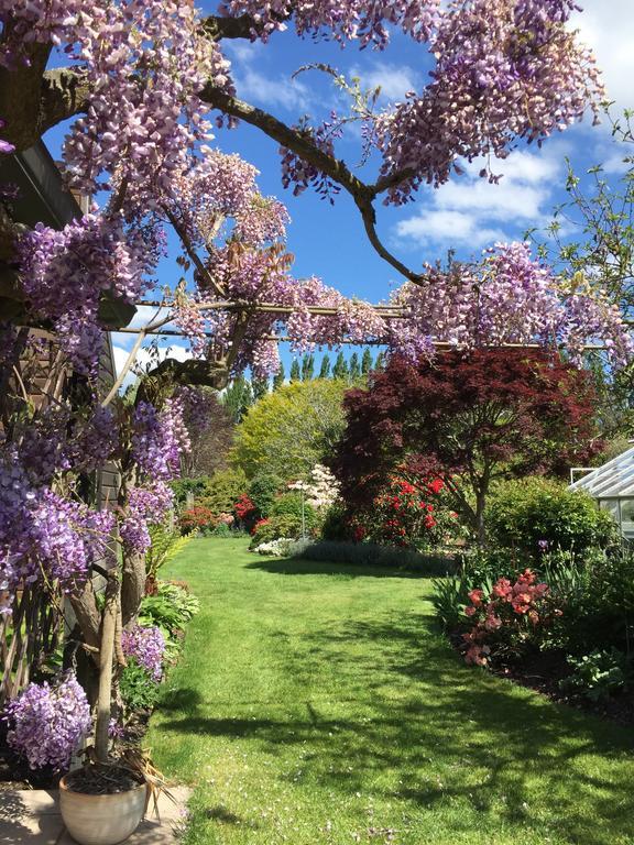 מלון כרייסטצ'רץ' Rhododendron Garden מראה חיצוני תמונה