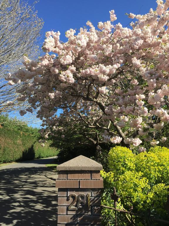 מלון כרייסטצ'רץ' Rhododendron Garden מראה חיצוני תמונה