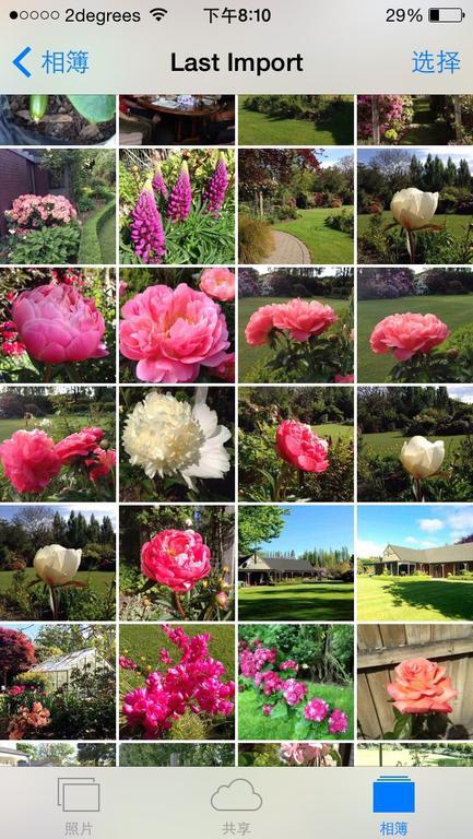 מלון כרייסטצ'רץ' Rhododendron Garden מראה חיצוני תמונה