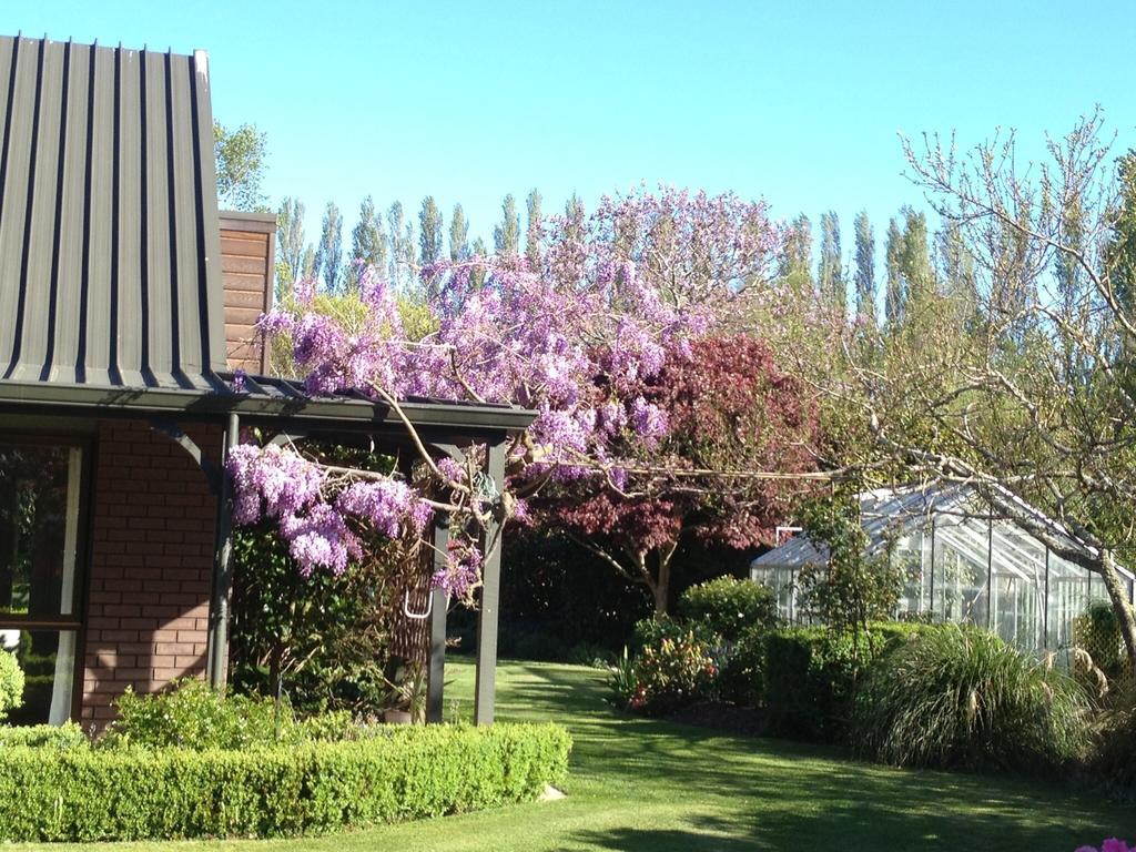 מלון כרייסטצ'רץ' Rhododendron Garden חדר תמונה